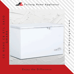 White Commercial Top Door Chest Freezer With Lock BD-250Q